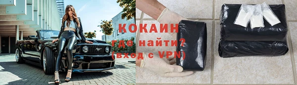крисы Абаза