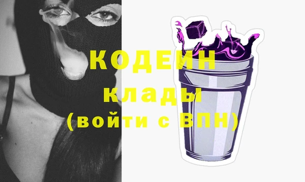крисы Абаза
