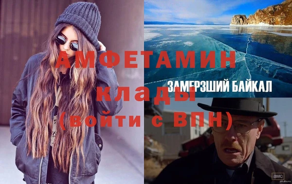 крисы Абаза