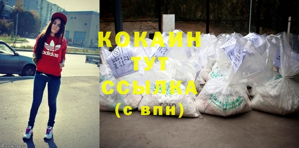 крисы Абаза