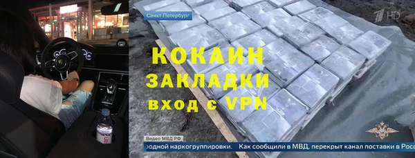 крисы Абаза