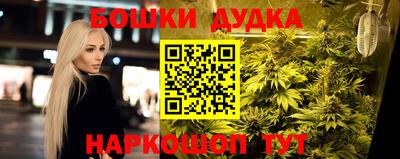 винт Новокубанск