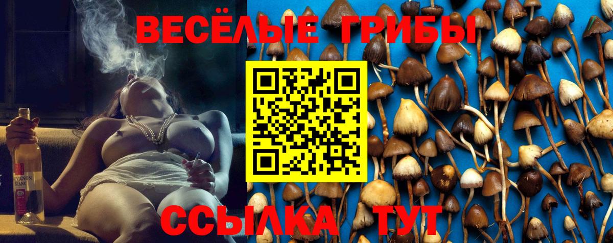 Галлюциногенные грибы мицелий Сызрань